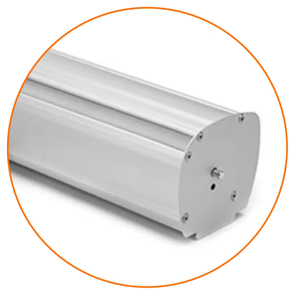 Roll-ups esenciales económicos